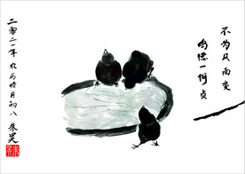 小鸡 戏水