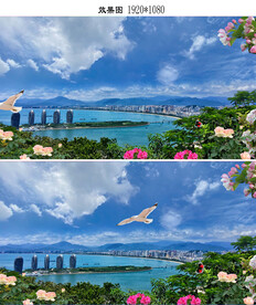 蓝天白云三亚风景AVI视频