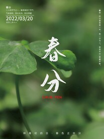 中国传统节气海报春分节气海报