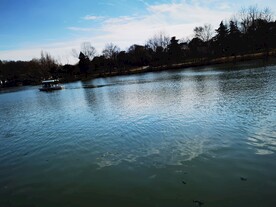 河水与船