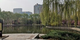 公园人工湖