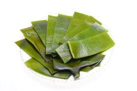 新鲜海带食材