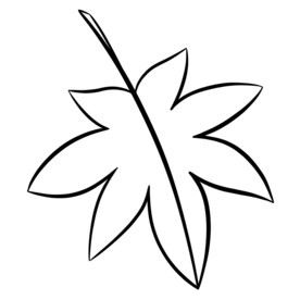 枫叶