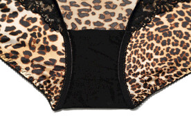 豹纹内衣内裤