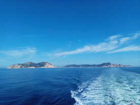 出海
