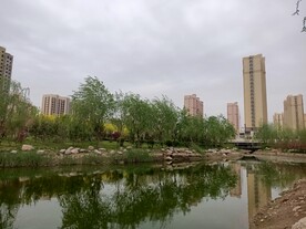 公园人工湖