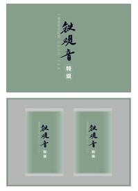 铁观音茶包装