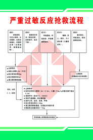 严重过敏反应抢救流程