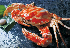冻红蟹