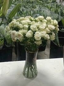瓶花