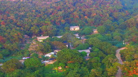 满山红叶的村庄