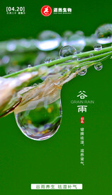 谷雨节气海报