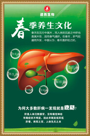 养肝海报