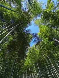 自然风光