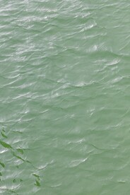 河水