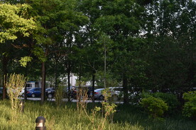 风景