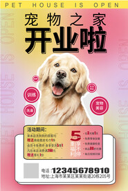 宠物店开业啦