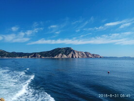 出海