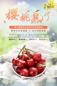 樱桃海报