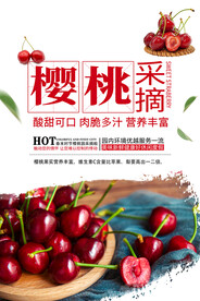 樱桃海报