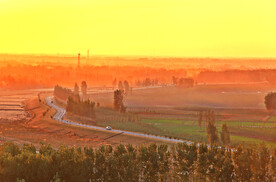 黄河大坝百里长廊