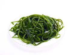 新鲜海带丝食材