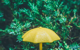 下雨  