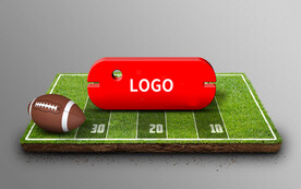 logo样机运动场草地