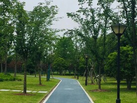 清晨冷清公园跑道