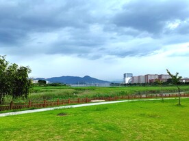 美丽的公园