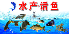 水产海报