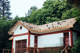 户外复古房屋建筑
