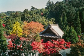 户外复古凉亭建筑