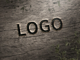 logo样机效果图场景 