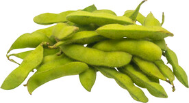 大豆  毛豆