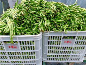 缸豆