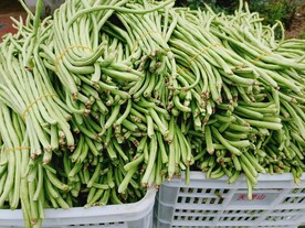 缸豆