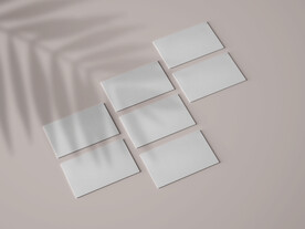 高级感名片样机