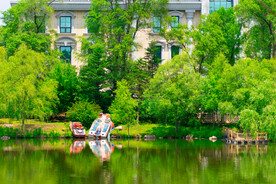 树林湖边码头停靠的快艇