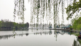 武汉东湖风景 