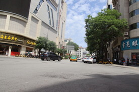 洛南县南街道路实拍