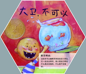 大卫不可以