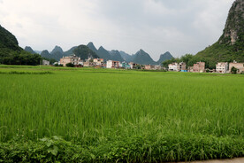 南方农村田园风光