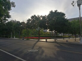 绿树成荫 