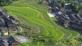贵州怎雷村梯田 