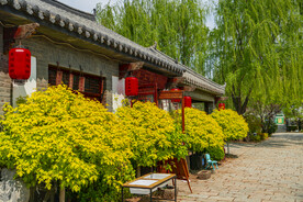 中式园林庭院古建筑