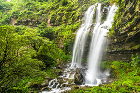 瀑布 溪水 流水 森林 小溪 