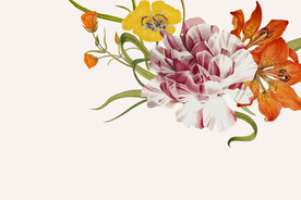 矢量花卉背景图