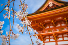 古建筑寺庙 