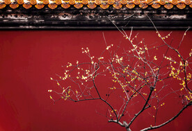 古建筑寺庙 
